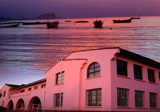 ALGARROBO